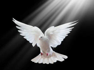 The Full Assurance of the Spirit