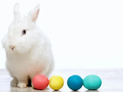 Easter or Passover?