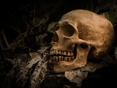 The Law of Sin and Death