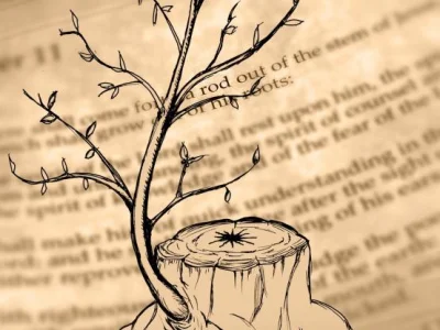 The Branch of David