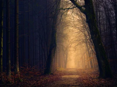 Introduction to Mussar