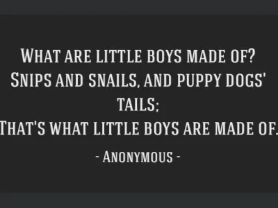What are Little Boys Made Of