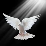 The Full Assurance of the Spirit