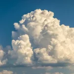 A Great Cloud of Witnesses