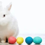 Easter or Passover?