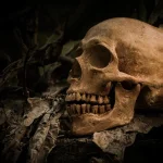 The Law of Sin and Death