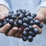 Water to Wine at Cana