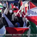 Strange Bedfellows: The Secular Left and the Muslim Right