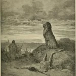 Amos: Man of God from Judah