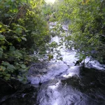 River of Life